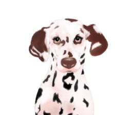 Dog illust sticker #799577