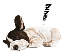 Dog illust sticker #799584