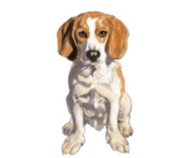 Dog illust sticker #799591