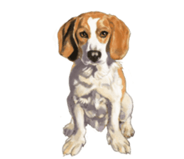 Dog illust sticker #799591