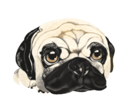 Dog illust sticker #799592