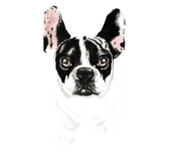 Dog illust sticker #799594