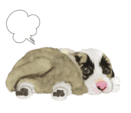 Dog illust sticker #799597