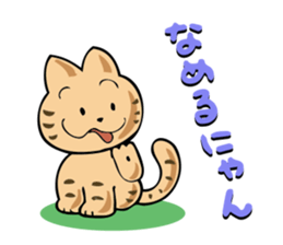 Comfort LOVECat sticker #800211