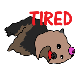 A cheerful Yorkshire terrier The second sticker #807279