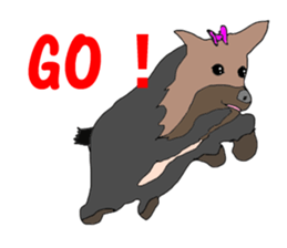 A cheerful Yorkshire terrier The second sticker #807280