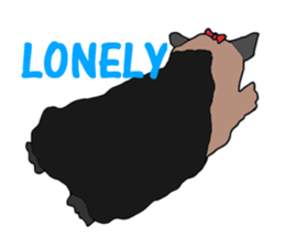 A cheerful Yorkshire terrier The second sticker #807282