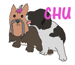 A cheerful Yorkshire terrier The second sticker #807283