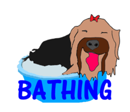 A cheerful Yorkshire terrier The second sticker #807284
