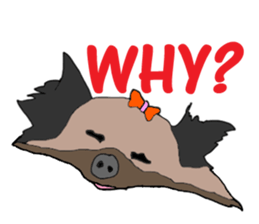 A cheerful Yorkshire terrier The second sticker #807289