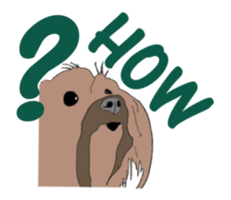 A cheerful Yorkshire terrier The second sticker #807291