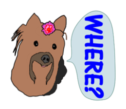 A cheerful Yorkshire terrier The second sticker #807292