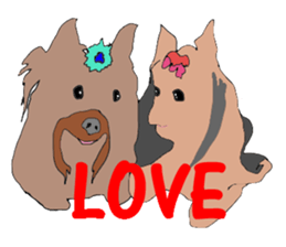 A cheerful Yorkshire terrier The second sticker #807294