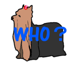 A cheerful Yorkshire terrier The second sticker #807295