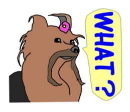 A cheerful Yorkshire terrier The second sticker #807296