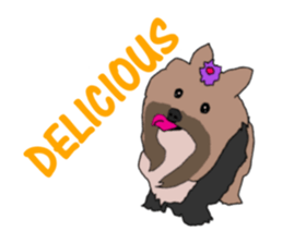 A cheerful Yorkshire terrier The second sticker #807298