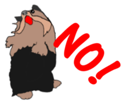 A cheerful Yorkshire terrier The second sticker #807301