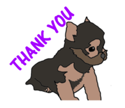 A cheerful Yorkshire terrier The second sticker #807304