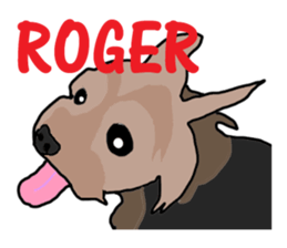 A cheerful Yorkshire terrier The second sticker #807310