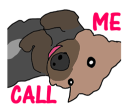 A cheerful Yorkshire terrier The second sticker #807312