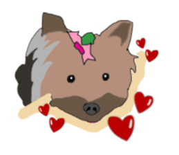 A cheerful Yorkshire terrier The second sticker #807313