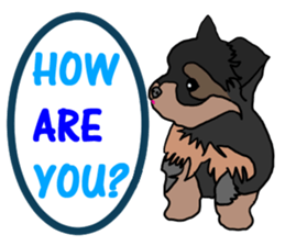 A cheerful Yorkshire terrier The second sticker #807315