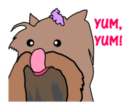 A cheerful Yorkshire terrier The second sticker #807316