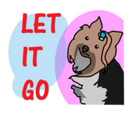 A cheerful Yorkshire terrier The second sticker #807317