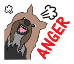 A cheerful Yorkshire terrier The second sticker #807318