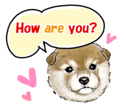 Let's join! A Japanese dog, Maru sticker #807319