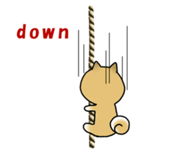 Let's join! A Japanese dog, Maru sticker #807330