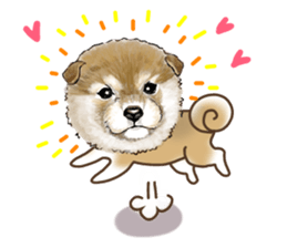 Let's join! A Japanese dog, Maru sticker #807332