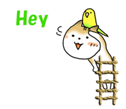 Let's join! A Japanese dog, Maru sticker #807336