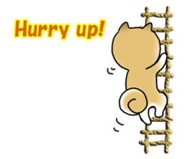 Let's join! A Japanese dog, Maru sticker #807347