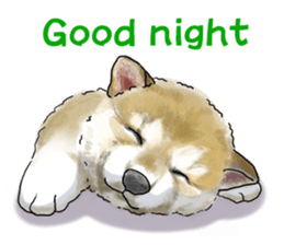 Let's join! A Japanese dog, Maru sticker #807358