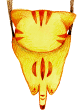 mamecat part2 sticker #808533