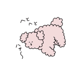 Hi!PomePu sticker #809232