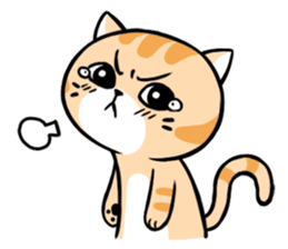 Dull cat life sticker #814041