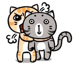 Dull cat life sticker #814061