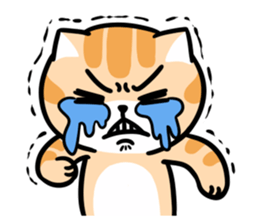 Dull cat life sticker #814062