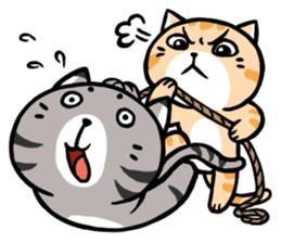 Dull cat life sticker #814065