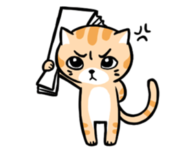 Dull cat life sticker #814071