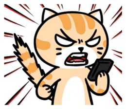 Dull cat life sticker #814077