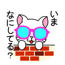 sunglasses cat shirosan sticker #814212
