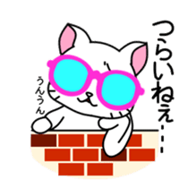 sunglasses cat shirosan sticker #814224