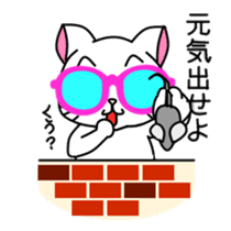 sunglasses cat shirosan sticker #814234