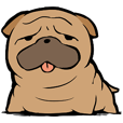 犬です。ぶるたんです。