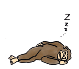 More than Monkey Under the Human sticker #820858