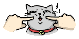 Funny Cats sticker #822349