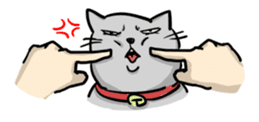 Funny Cats sticker #822350